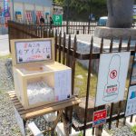 モアイ像前のモアイみくじ
